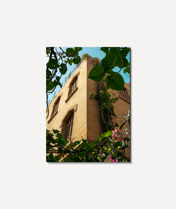 A frame from el Gamaleya