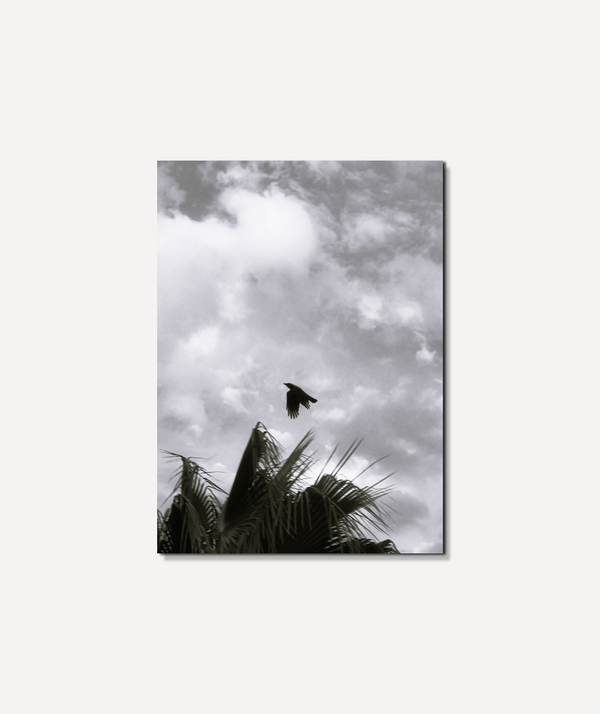 Flight Beyond