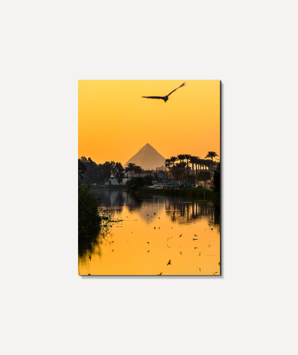 Nature & History
