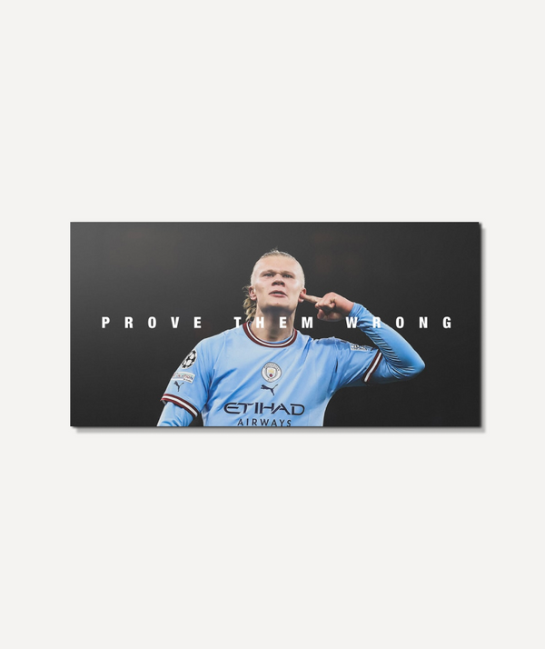 Prove them wrong Erling Haaland