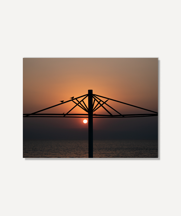 Silhouette